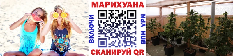 Шишки марихуана White Widow  закладки  kraken рабочий сайт  Карачев 